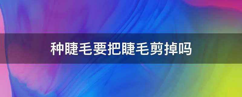 种睫毛要把睫毛剪掉吗（种睫毛要把睫