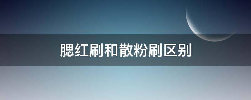 腮红刷和散粉刷区别（腮红刷和散粉刷