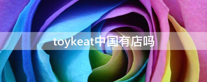 toykeat中国有店吗（tokki官网）