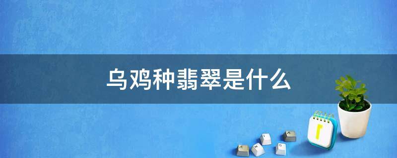 乌鸡种翡翠是什么 乌鸡种翡翠是什