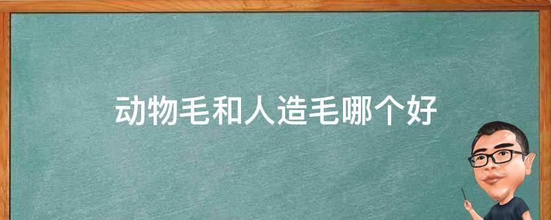 动物毛和人造毛哪个好 动物毛和人