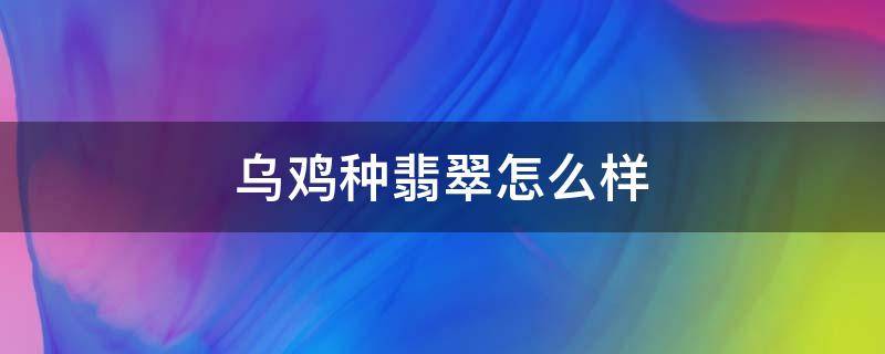 乌鸡种翡翠怎么样 乌鸡种翡翠值钱