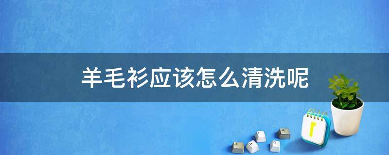 羊毛衫应该怎么清洗呢 羊毛衫怎么