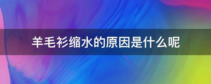 羊毛衫缩水的原因是什么呢（羊毛衫缩