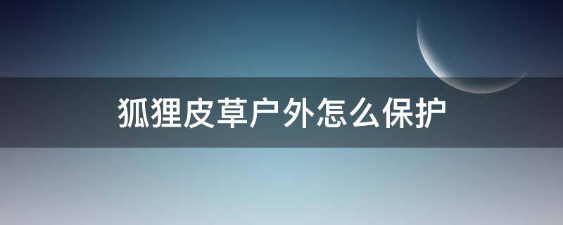 狐狸皮草户外怎么保护 狐狸皮草怎