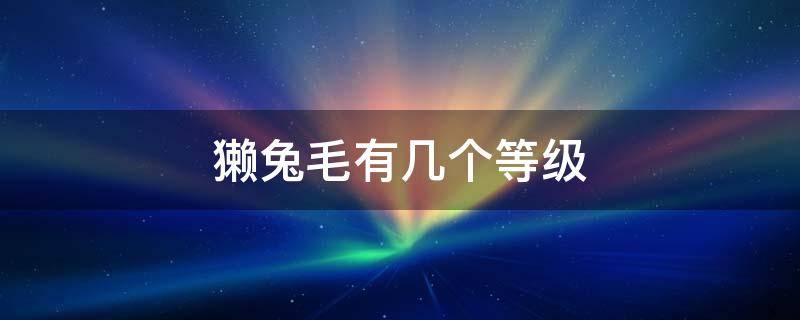 獭兔毛有几个等级（獭兔毛分几个品种