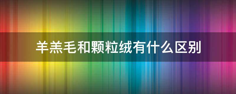 羊羔毛和颗粒绒有什么区别（羊羔毛和