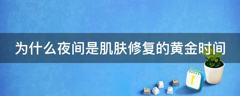 为什么夜间是肌肤修复的黄金时间 