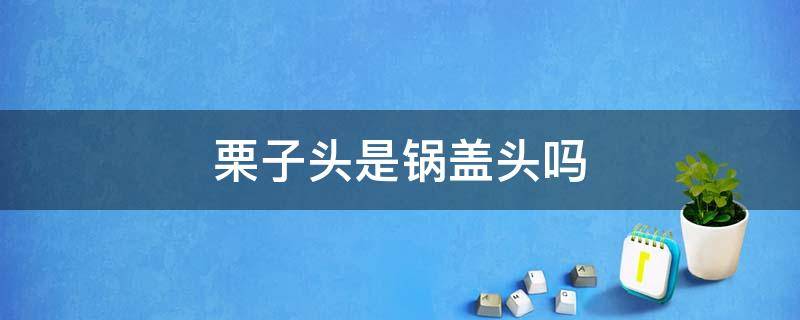 栗子头是锅盖头吗（栗子头和锅盖头的