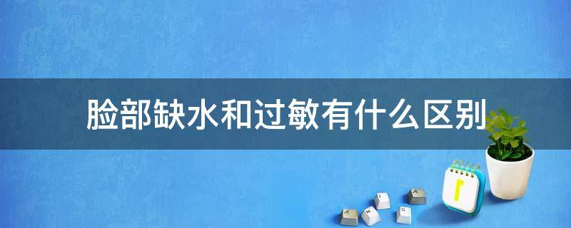 脸部缺水和过敏有什么区别 脸过敏