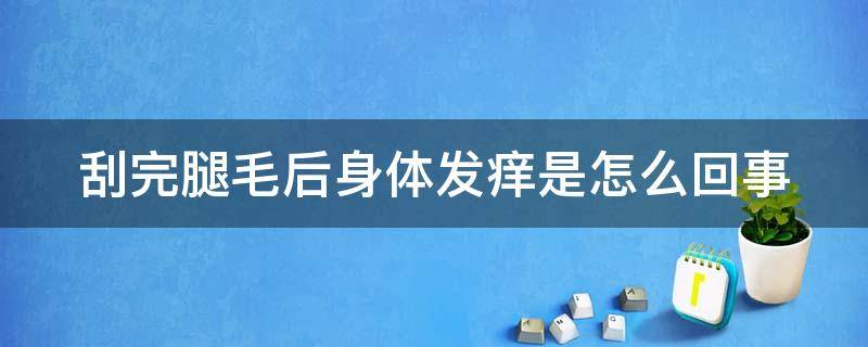 刮完腿毛后身体发痒是怎么回事 刮