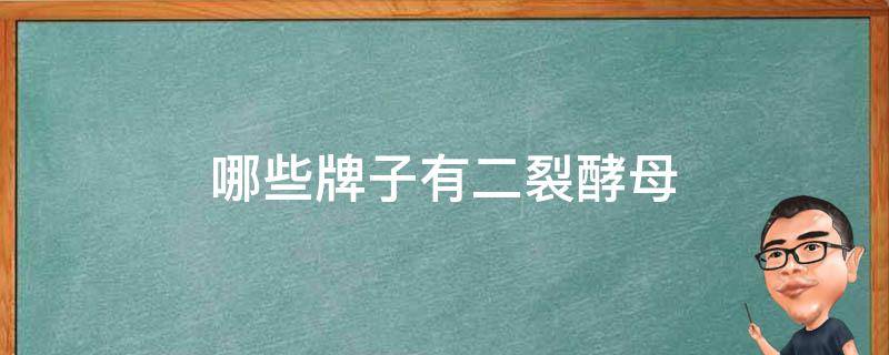 哪些牌子有二裂酵母 二裂酵母是什