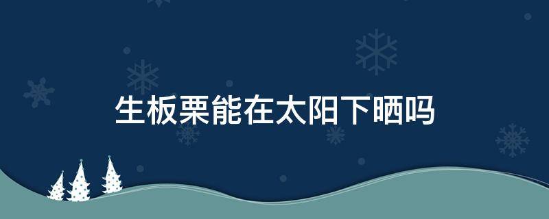 生板栗能在太阳下晒吗（生板栗可以晒