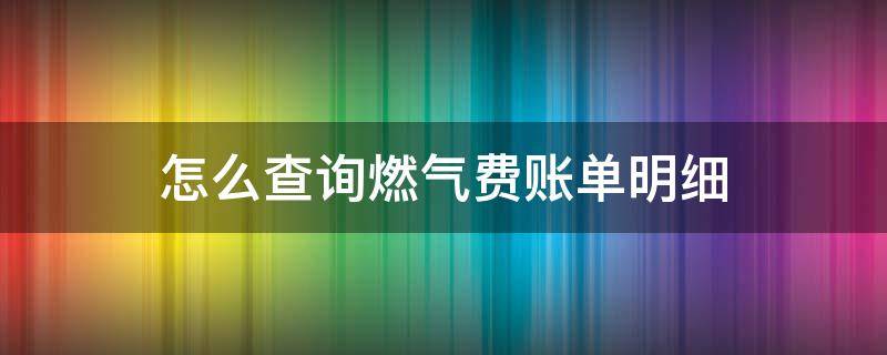 怎么查询燃气费账单明细（手机上怎么