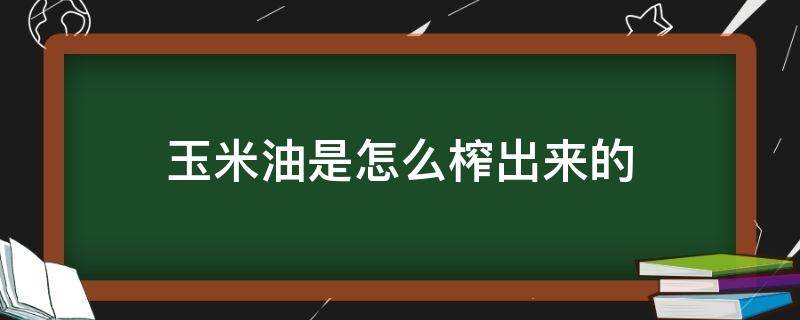 玉米油是怎么榨出来的（玉米油是怎么