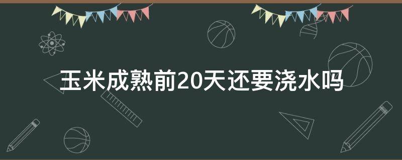 玉米成熟前20天还要浇水吗（玉米成熟