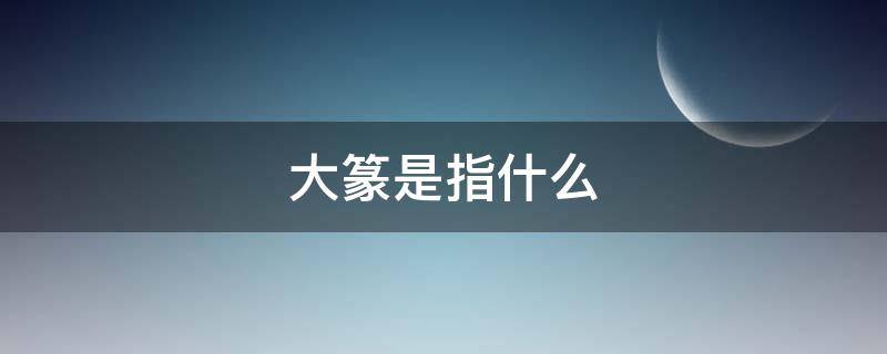 大篆是指什么（大篆是指什么意思）