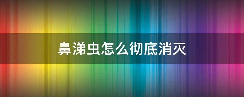 鼻涕虫怎么彻底消灭 鼻涕虫怎么彻