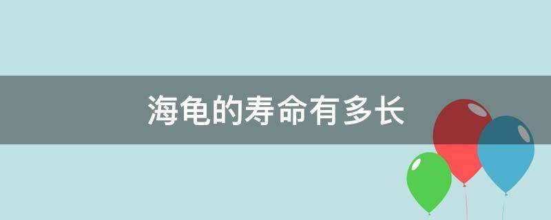 海龟的寿命有多长 海龟的寿命有多