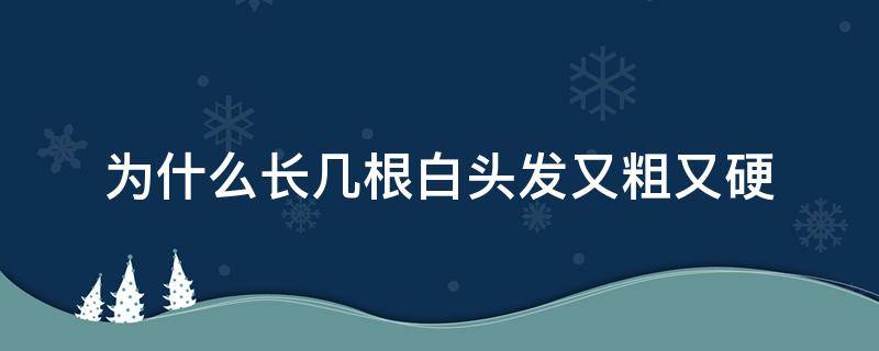 为什么长几根白头发又粗又硬 为什