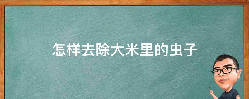 怎样去除大米里的虫子 怎样去除大