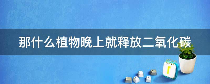 那什么植物晚上就释放二氧化碳（晚上