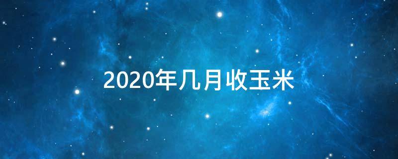 2020年几月收玉米（2020年收玉米大概