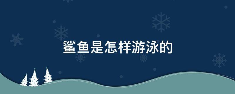 鲨鱼是怎样游泳的（鲨鱼是怎样游泳的