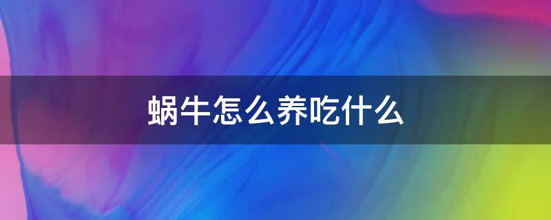 蜗牛怎么养吃什么 蜗牛该怎么饲养