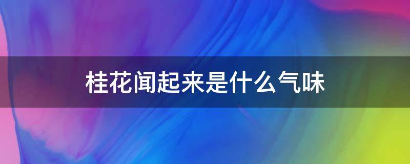 桂花闻起来是什么气味 桂花的气味