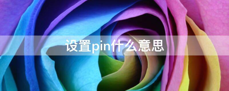 设置pin什么意思（新笔记本设置pin什