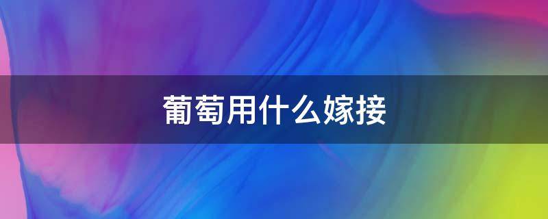 葡萄用什么嫁接 葡萄用什么嫁接最