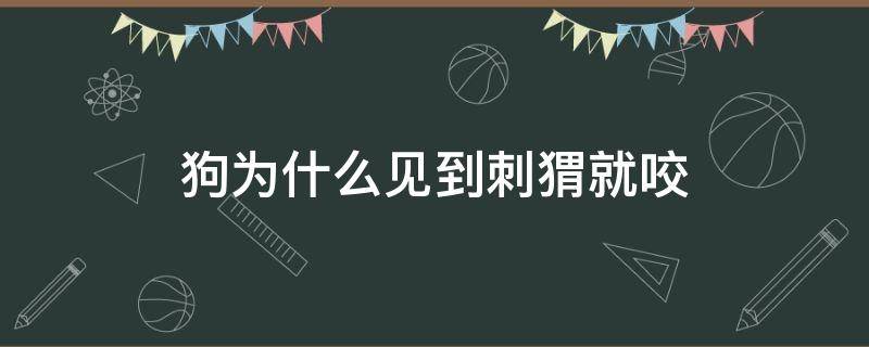 狗为什么见到刺猬就咬 狗为什么见