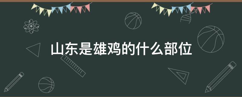 山东是雄鸡的什么部位（山东在中国地