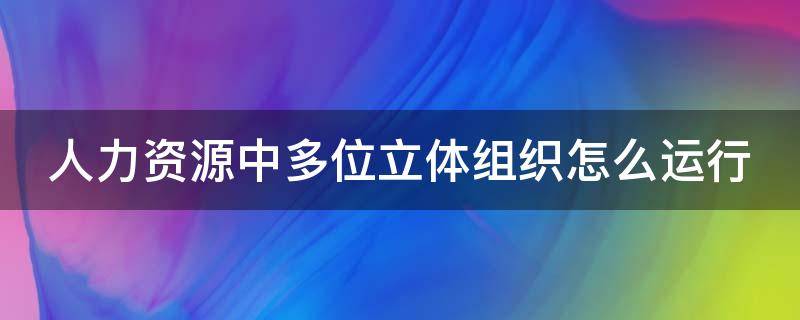 人力资源中多位立体组织怎么运行 