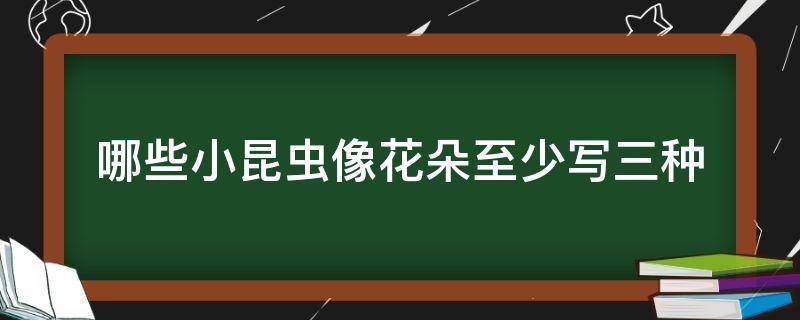 哪些小昆虫像花朵至少写三种 有哪