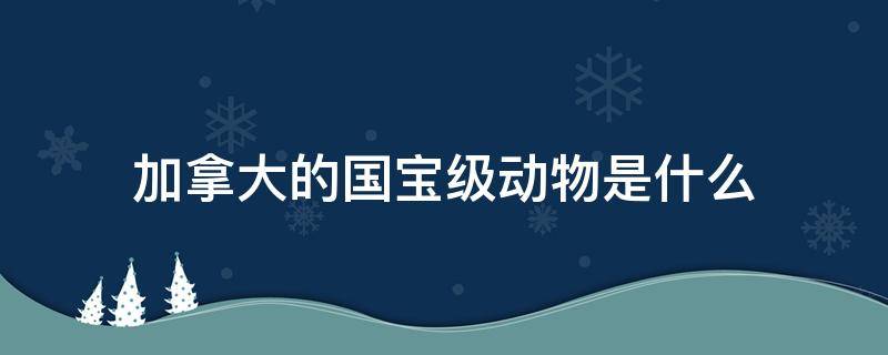 加拿大的国宝级动物是什么（加拿大的