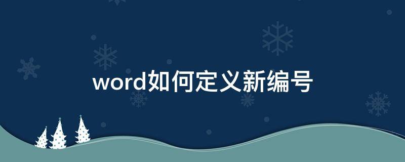 word如何定义新编号（word2010定义新