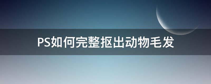 PS如何完整抠出动物毛发（ps如何完整