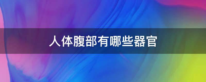 人体腹部有哪些器官 人体腹部解剖