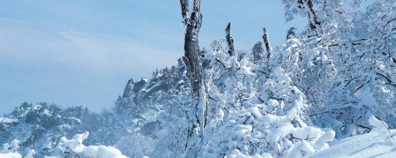 大雪节气能理发吗（大雪节气可以剪头